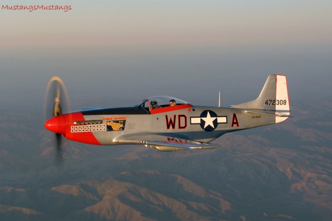 P-51 Survivor 44-72483 N151DM