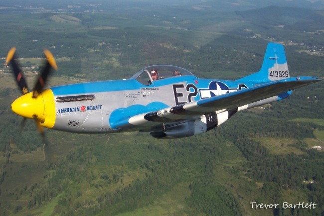 P-51 Survivor 44-73436 N51KD