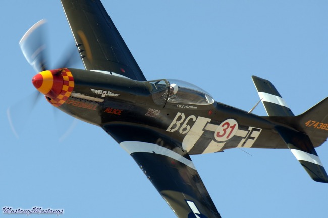 P-51 Survivor 44-74389 N64824