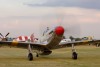 P-51