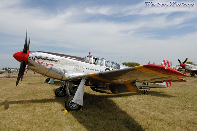 42-103293_00105_cf1.jpg