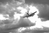 42-103293_7893_jh7.jpg