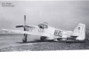 P-51