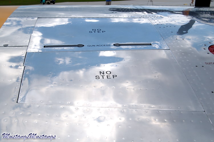 42-103831_00181_cf1.jpg