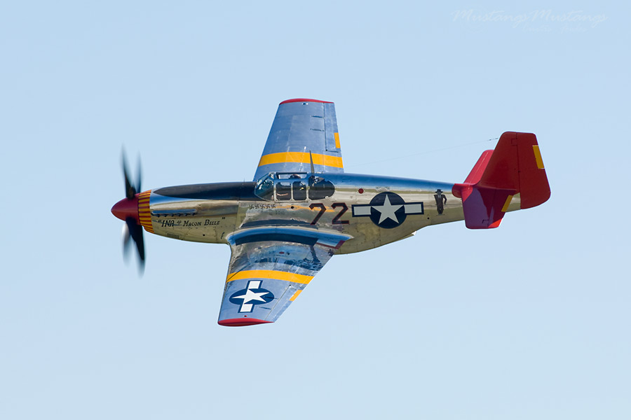 42-103831_00199_cf1.jpg