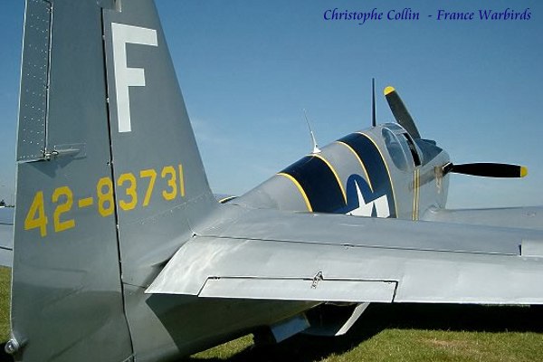 42-83731_00259_cc3.jpg