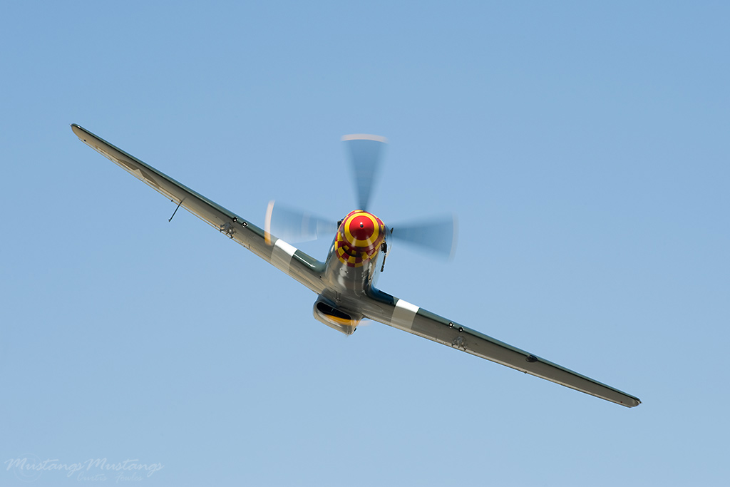 43-12252_00276_cf1.jpg