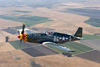 P-51