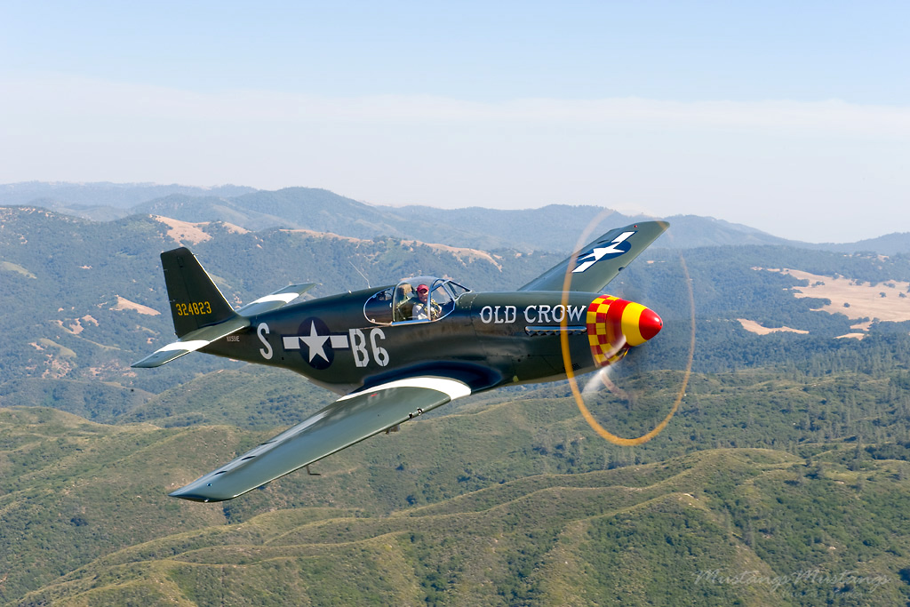 43-12252_00299_cf1.jpg