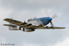 P-51