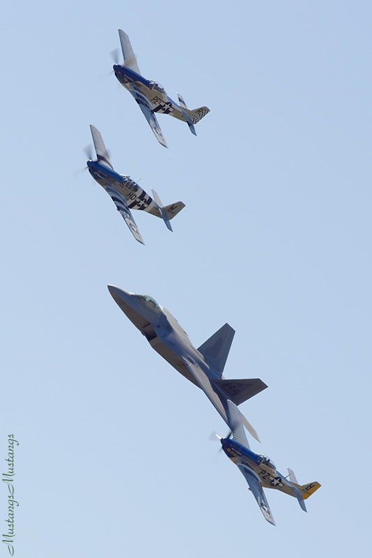 43-25147_00338_cf1.jpg