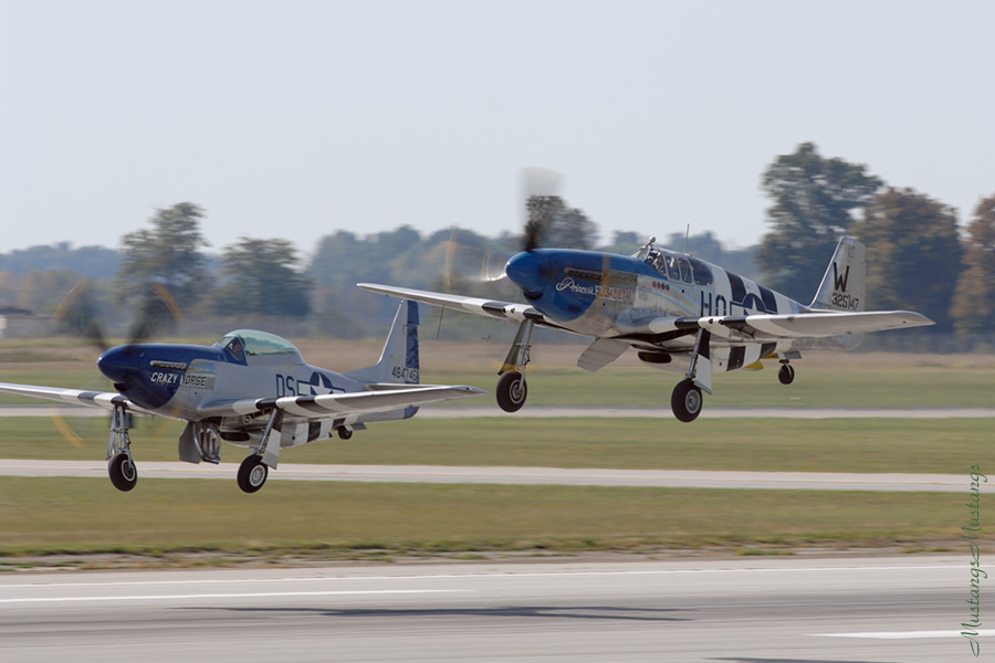43-25147_00339_cf1.jpg