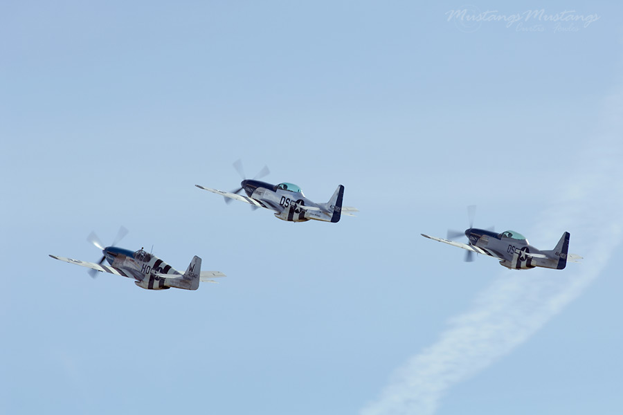 43-25147_00340_cf1.jpg