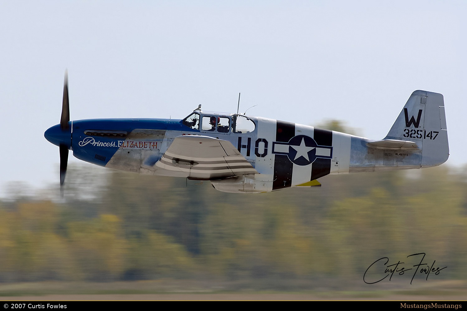 43-25147_00342_cf1.jpg