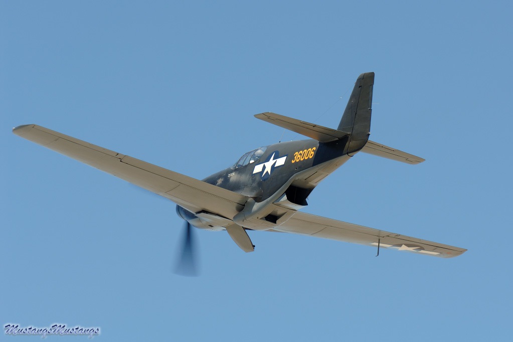 43-6006_00385_cf1.jpg