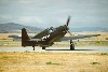 P-51