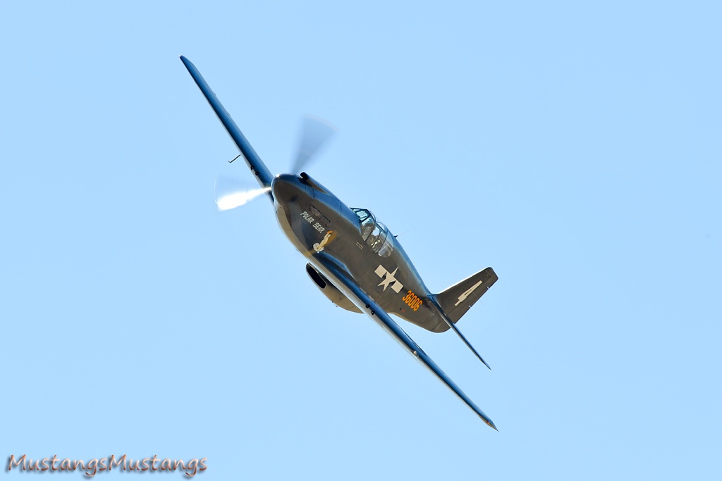 43-6006_7940_cf1.jpg