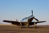 P-51