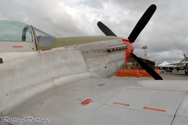44-12119_00477_cf1.jpg