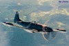 P-51