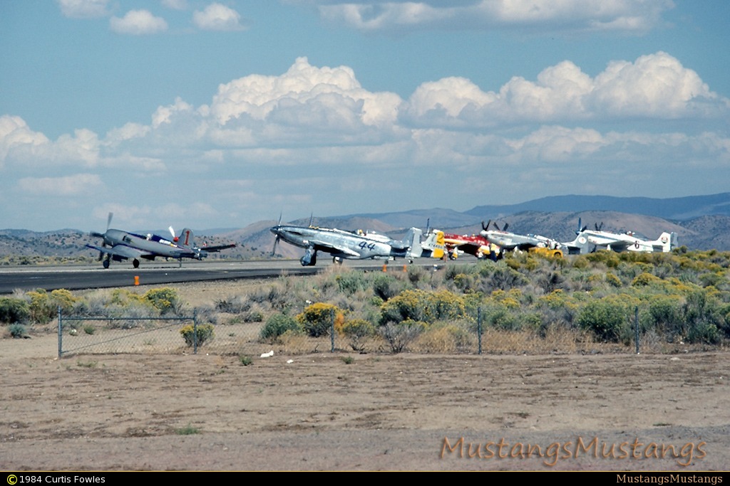 44-15651_8661_cf1.jpg