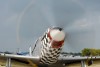 P-51