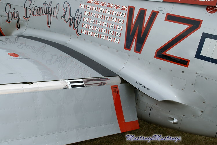 44-63634_06499_cf1.jpg