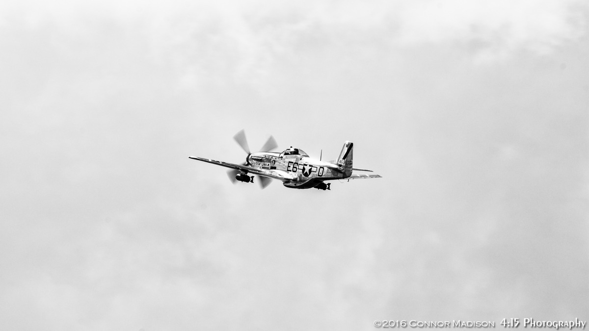 44-63675_9455_cm4.jpg
