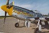 P-51