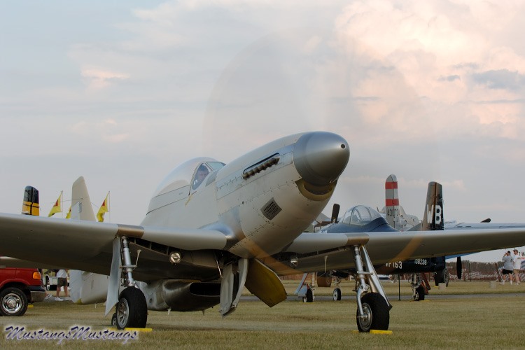 44-63865_01079_cf1.jpg