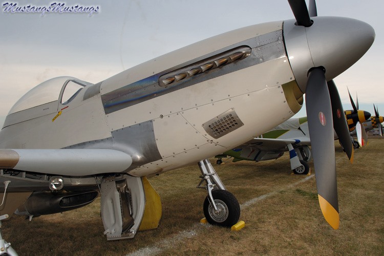 44-63865_01090_cf1.jpg