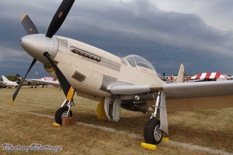 44-63865_01091_cf1.jpg