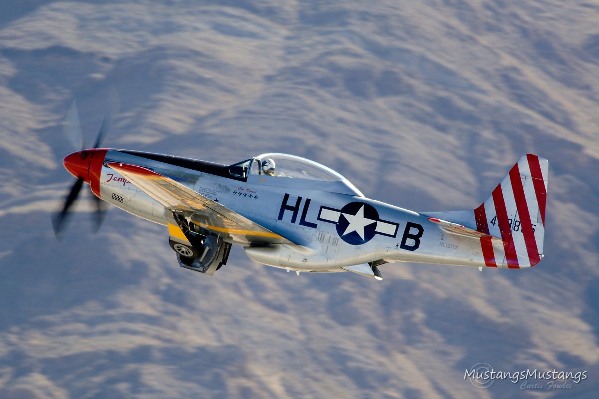 44-63865_8616_cf1.jpg
