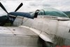 P-51