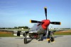 P-51