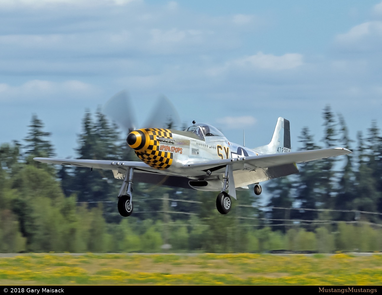 44-72364_10018_gm5.jpg