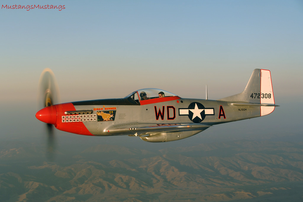 44-72483_01562_cf1.jpg