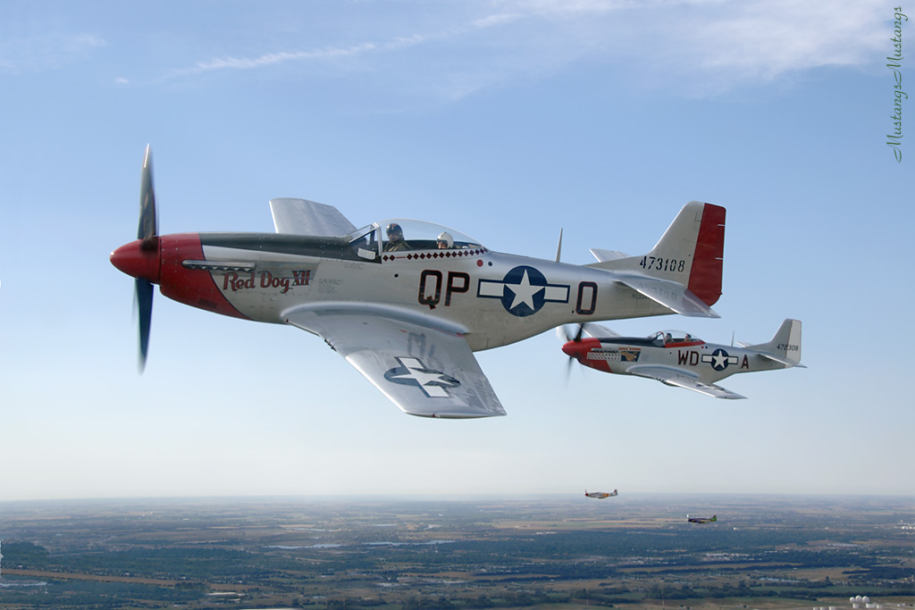 44-72483_01574_cf1.jpg