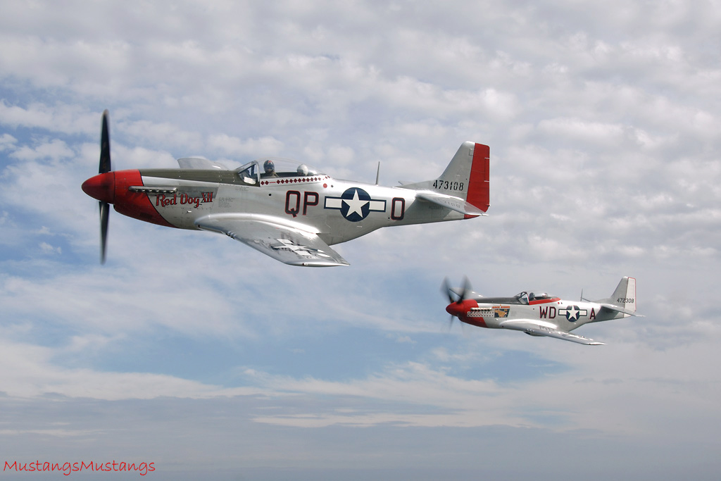 44-72483_01575_cf1.jpg
