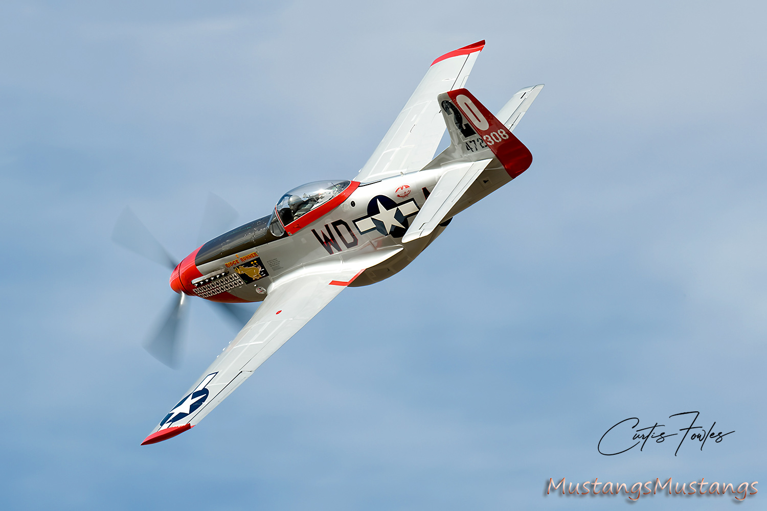 44-72483_7973_cf1.jpg