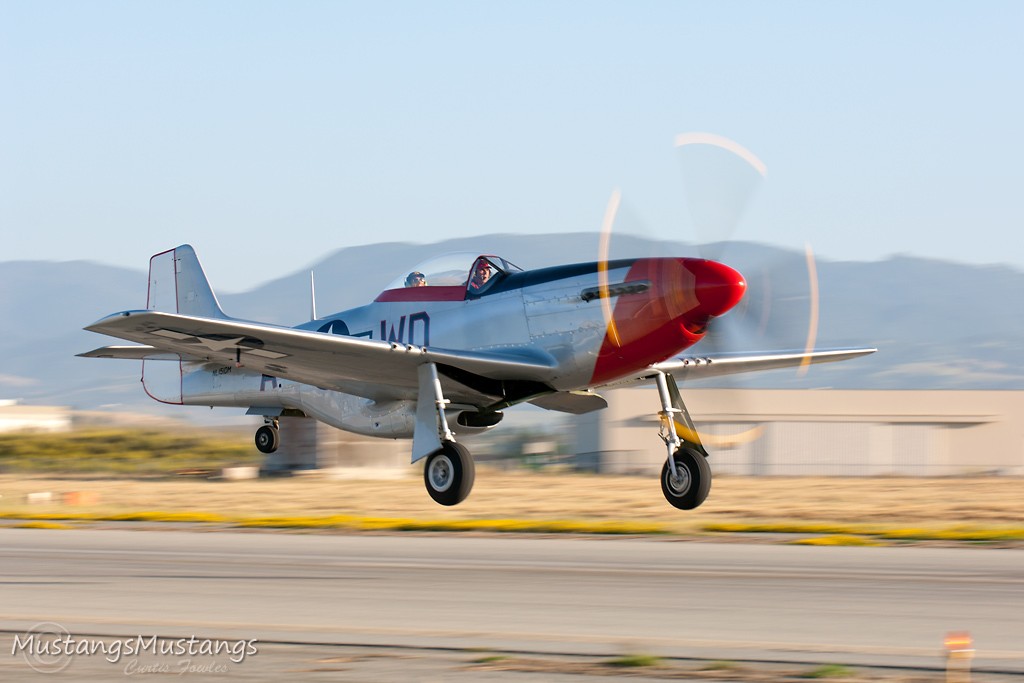 44-72483_8375_cf1.jpg