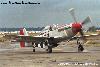 P-51