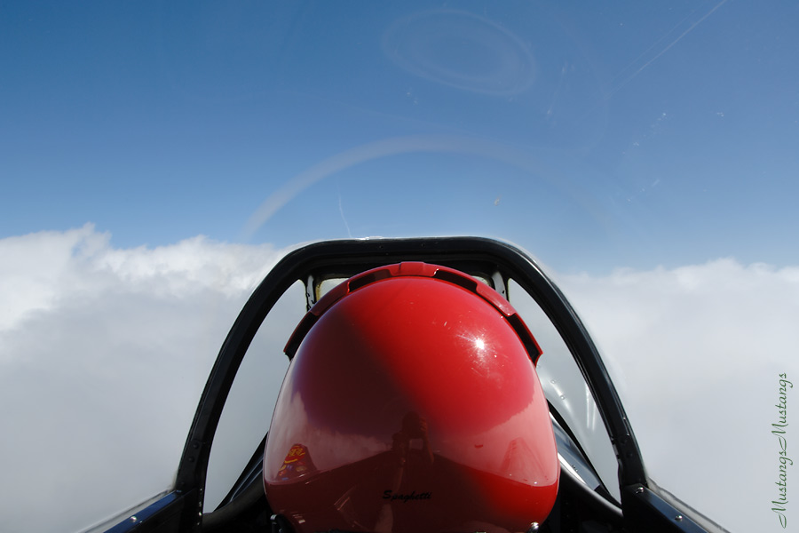 44-72777_01709_cf1.jpg
