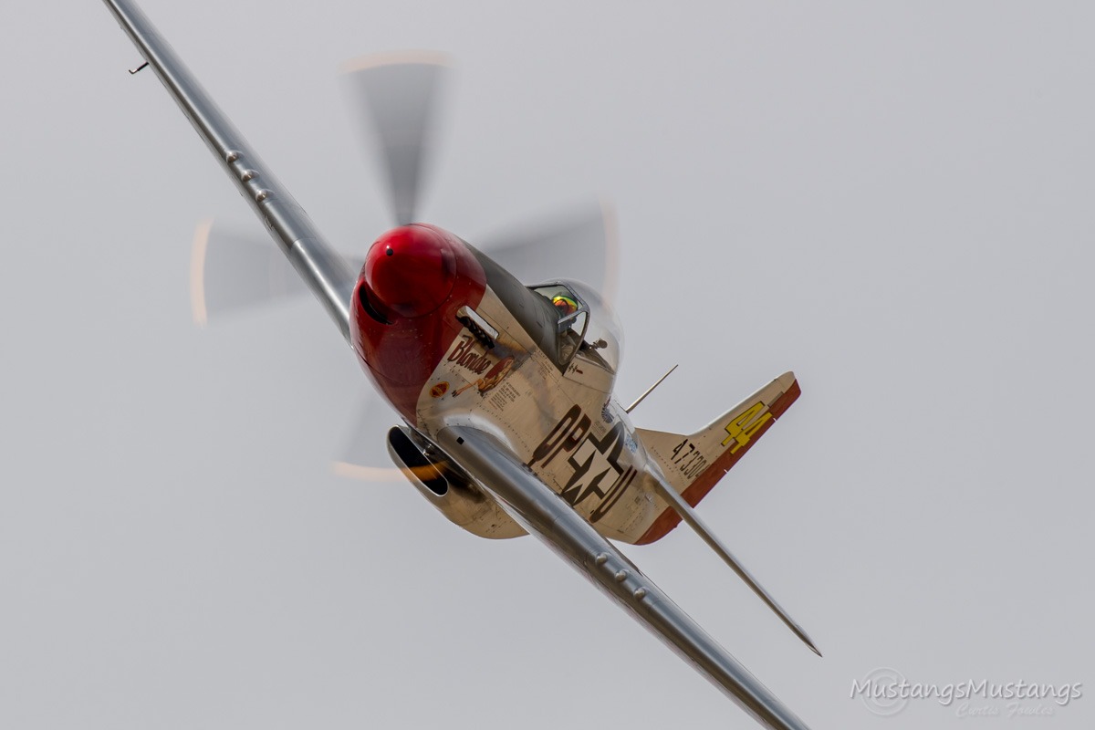 44-72777_9549_cf1.jpg