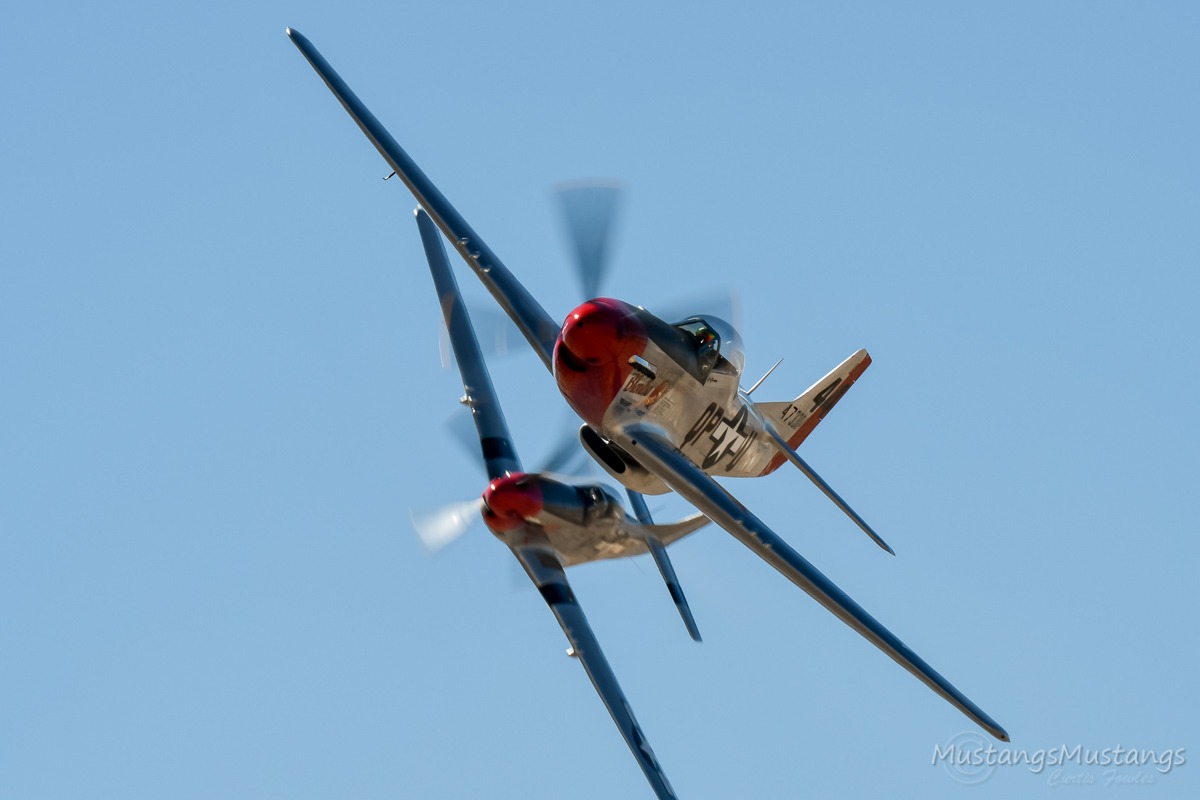 44-72777_9609_cf1.jpg