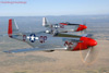 P-51