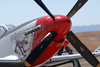 P-51