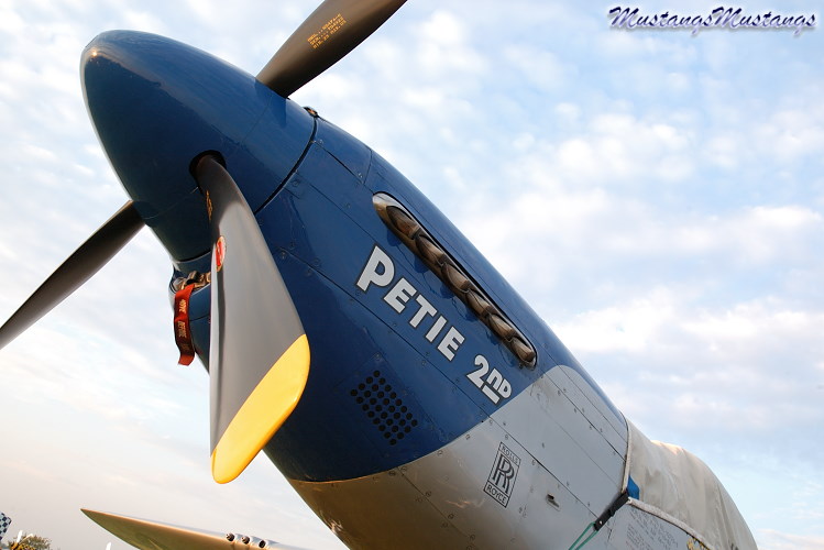 44-72942_01899_cf1.jpg