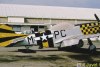 P-51