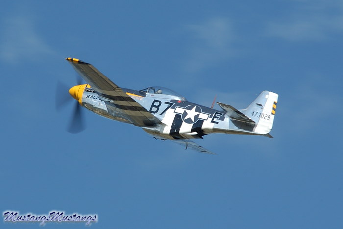44-73029_01954_cf1.jpg